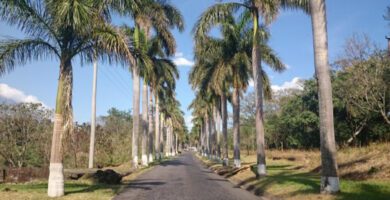 Escuintla