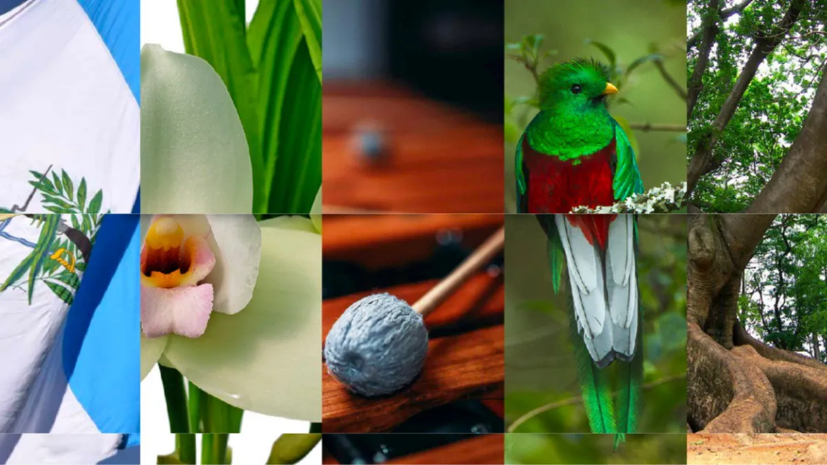 Símbolos Patrios de Guatemala que debes conocer