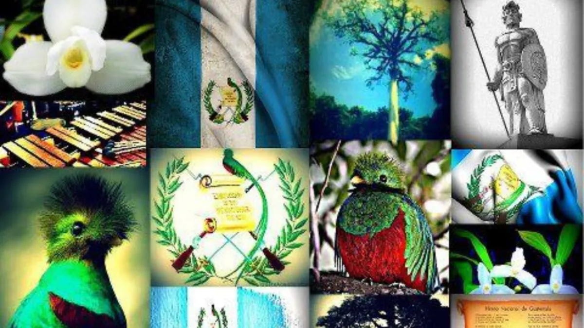 Símbolos patrios de Guatemala: los 7 símbolos y su historia