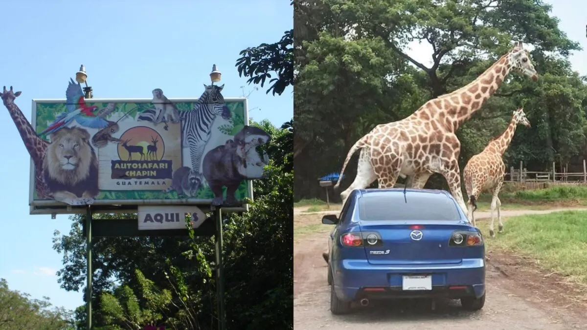 Imagen de la nota
