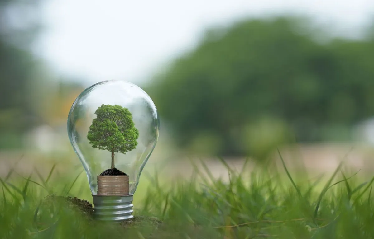 Empleos Verdes: 6 Mejores, Donde Aplicar y Salarios