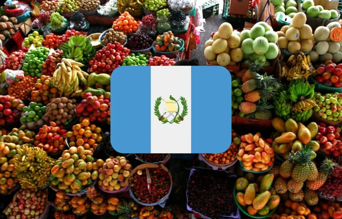 Diversidad y Delicias: Conozca las Frutas Guatemaltecas
