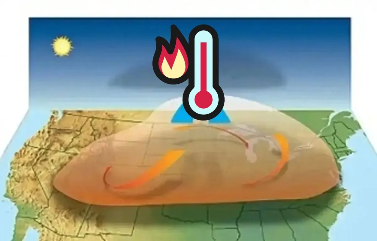 Domo de Calor: Causas, Efectos y Cómo Nos Afecta