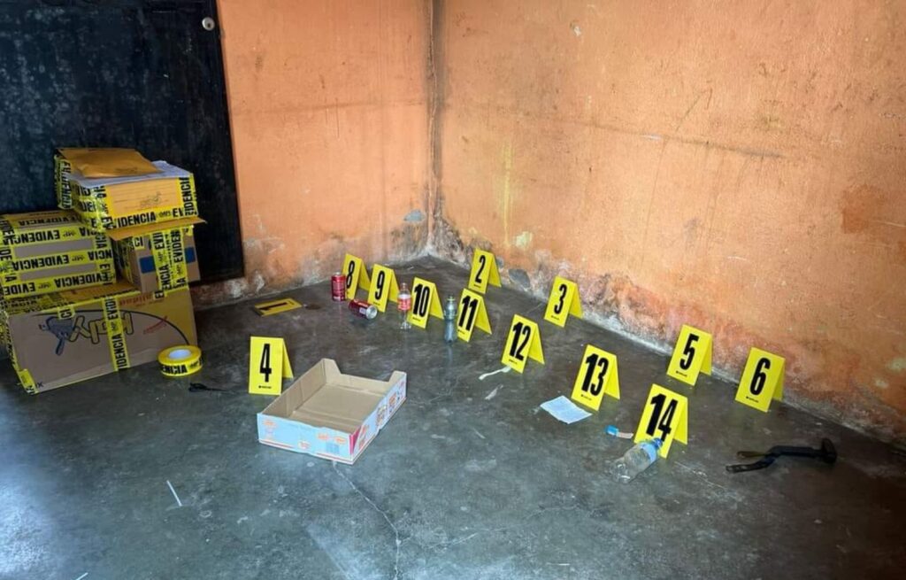Investigación en Curso
