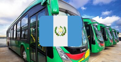 Conozca las Rutas y Horarios de TuBus Servicio de Transporte en la Ciudad de Guatemala