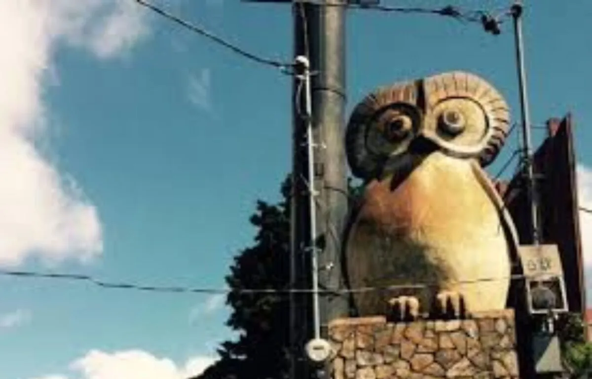 El Tecolote de la Calzada San Juan: Sabiduría Ancestral y Tradición en la Ciudad de Guatemala