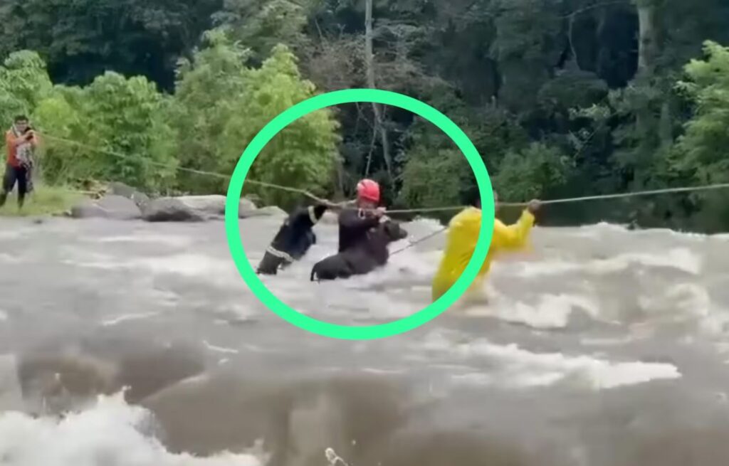 Las Lluvias Torrenciales y el Creciente Río consecuencias de las Fuertes Lluvias