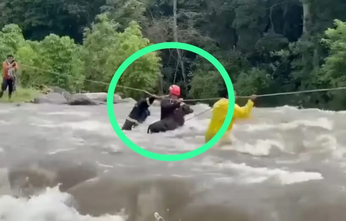 Las Lluvias Torrenciales y el Creciente Río consecuencias de las Fuertes Lluvias