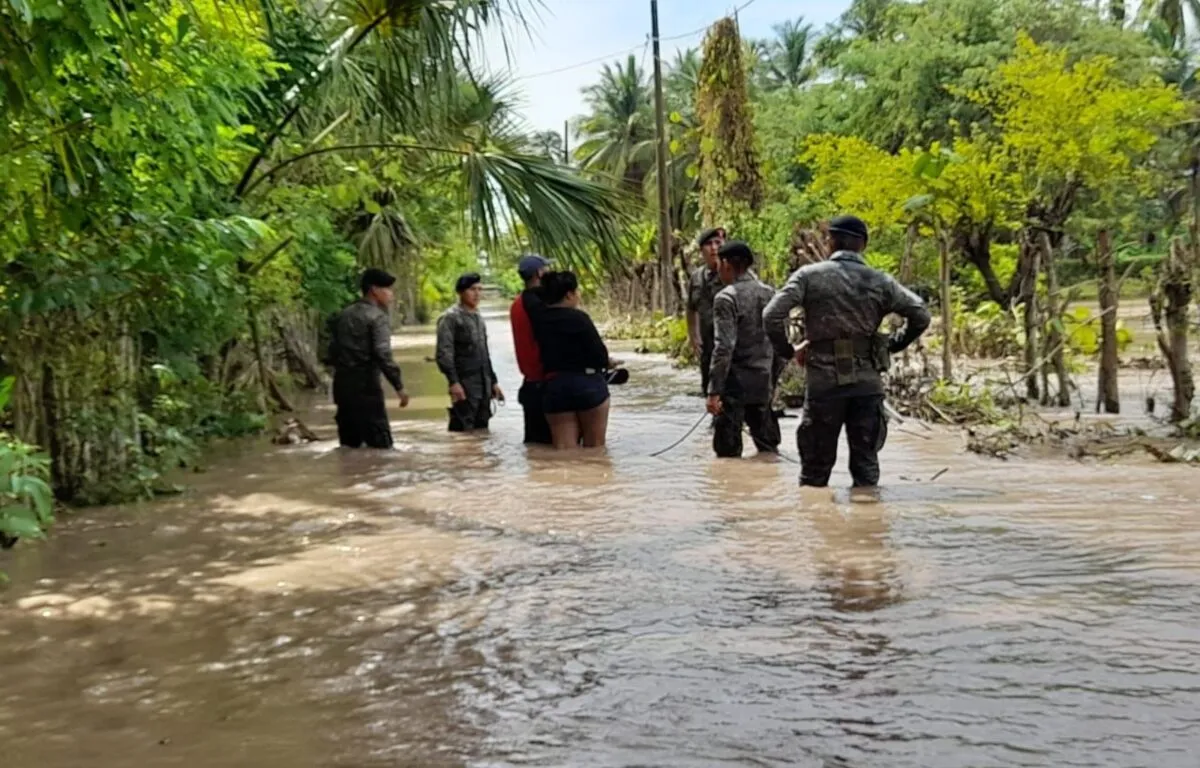 Preparativos y Medidas de Precaución