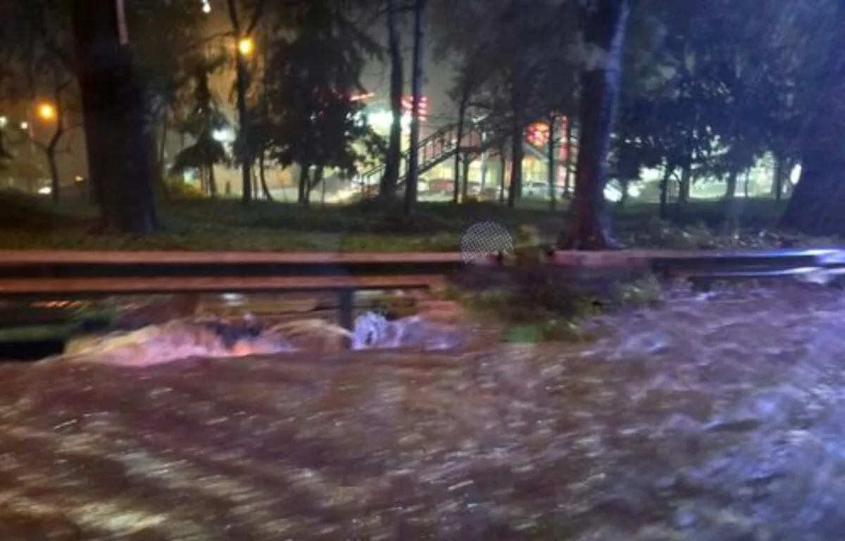 Recomendaciones y Medidas de Precaución
