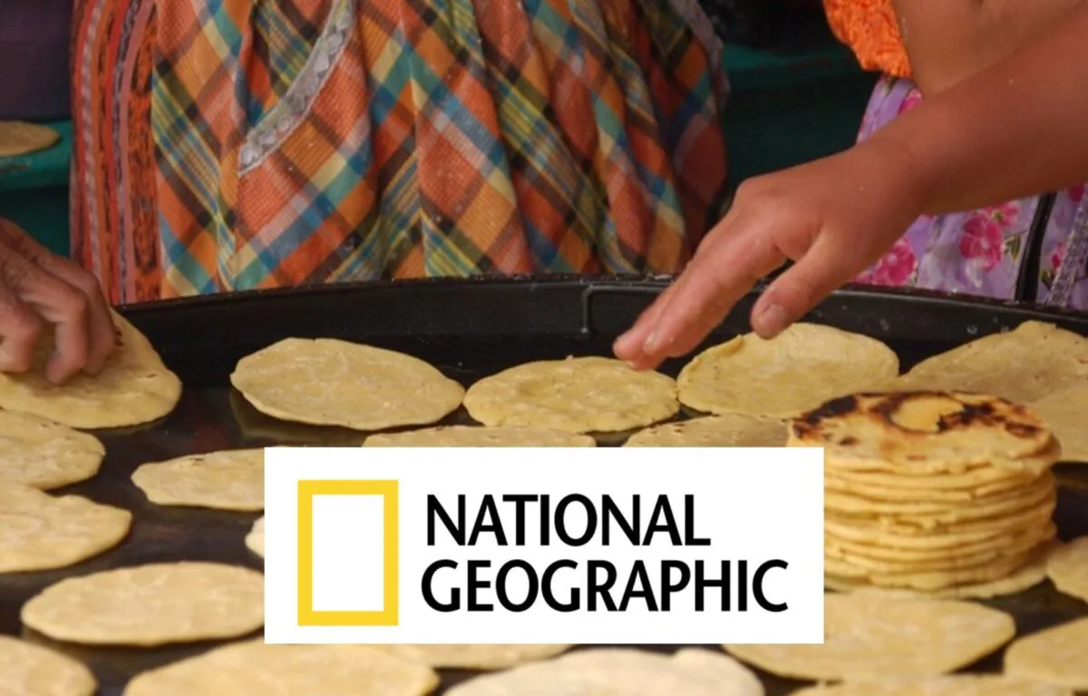 «Todo el Mundo Come Pan» Un Vistazo a las Tortillas Guatemaltecas