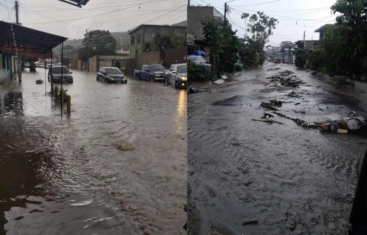 Áreas Afectadas por las Inundaciones, Zonas Críticas de Villa Nueva