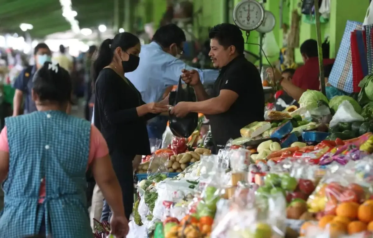 Impacto de las Lluvias en los Precios de las Verduras