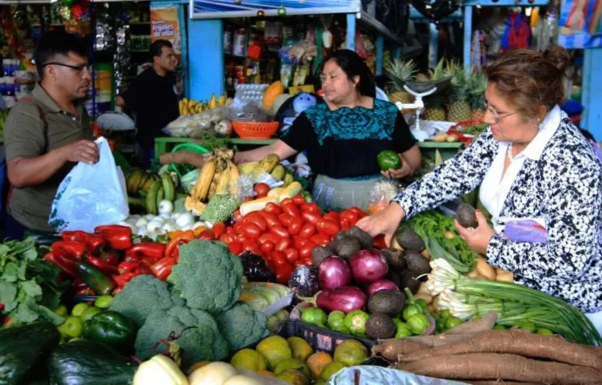 Impacto en la Economía Doméstica