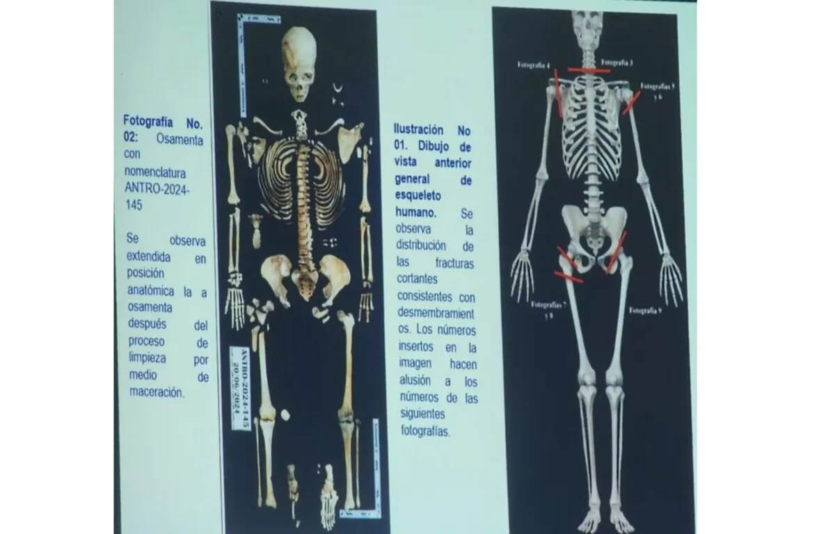 Imagen de la nota