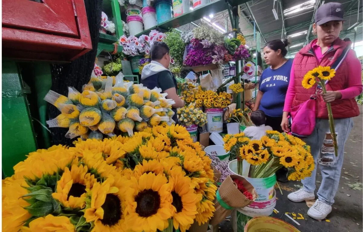 ¿Por qué en septiembre se regalan flores amarillas?