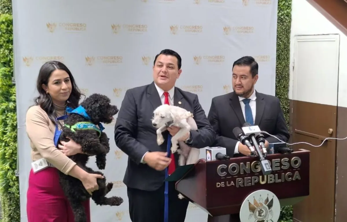 Diputado Impulsa Ley para Castigar con Cárcel el Maltrato Animal
