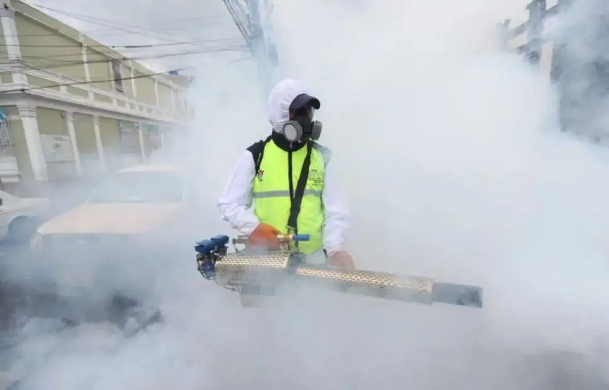 La Importancia de la Prevención en la Lucha Contra el Dengue