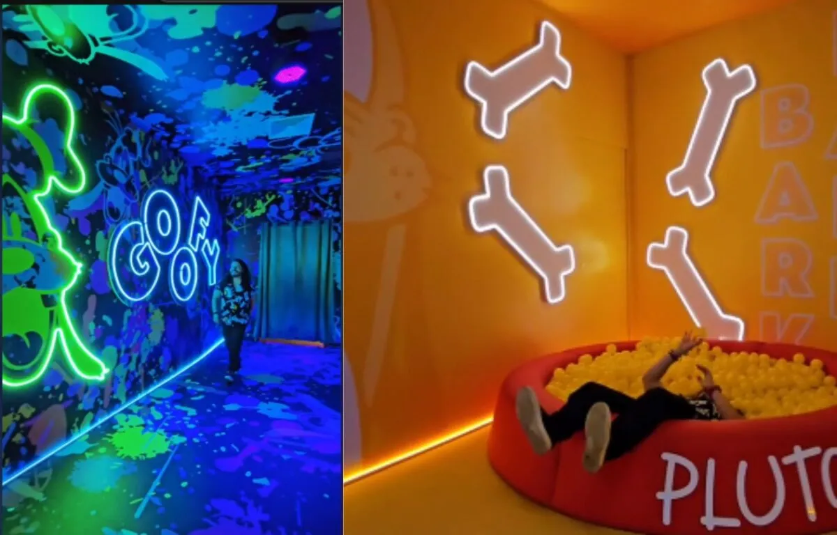 Un Espacio de Ensueño para los Fanáticos de Disney