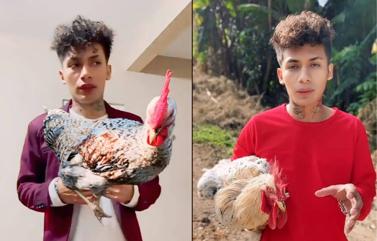 Venta de Gallinas para Recaudar Fondos