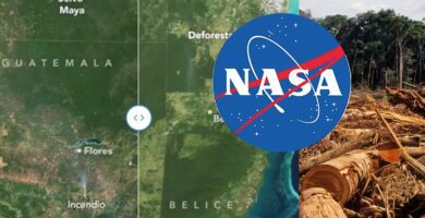 Alerta de la NASA La selva maya de Guatemala está en peligro