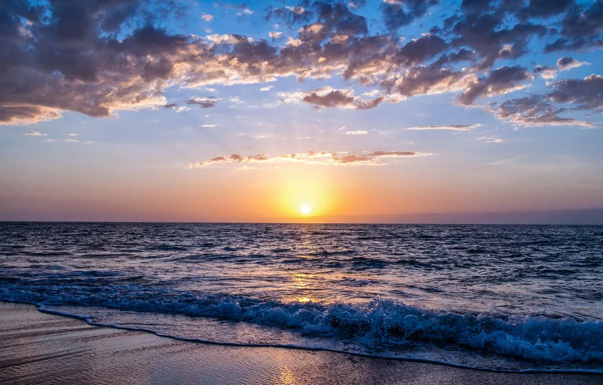 ¿Por qué Visitar la Playa de Monterrico