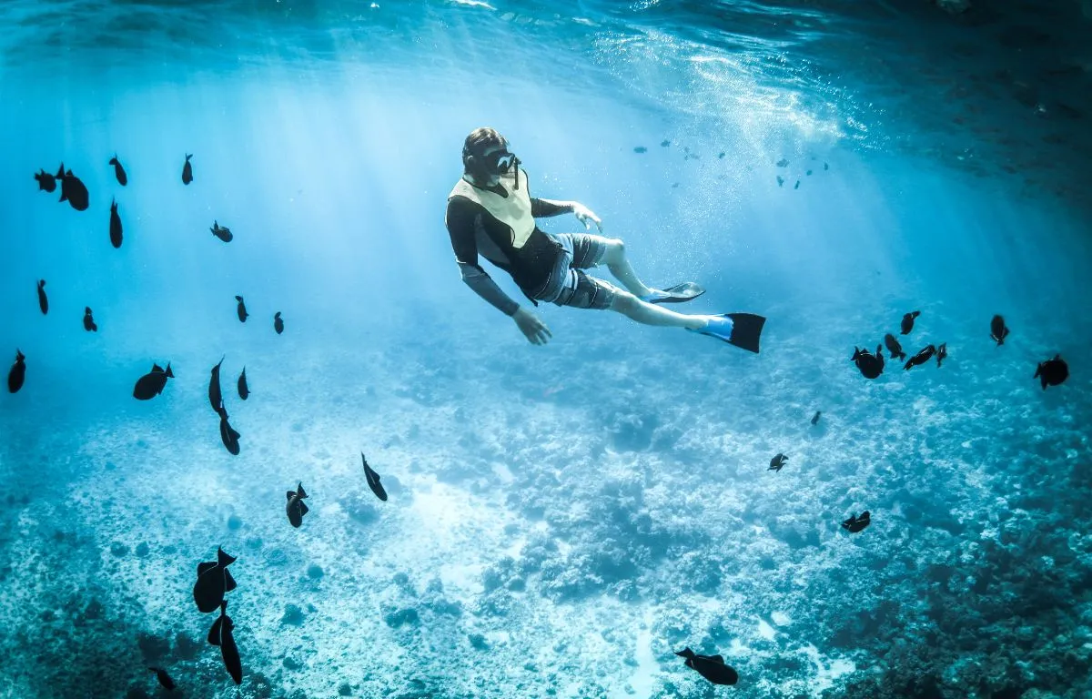 Actividades Imperdibles en Playas Tortugas
