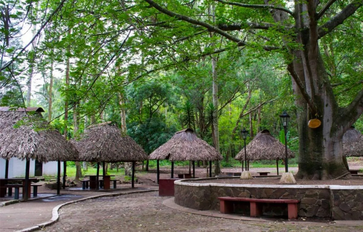 Actividades Imperdibles en el Parque Nacional Naciones Unidas