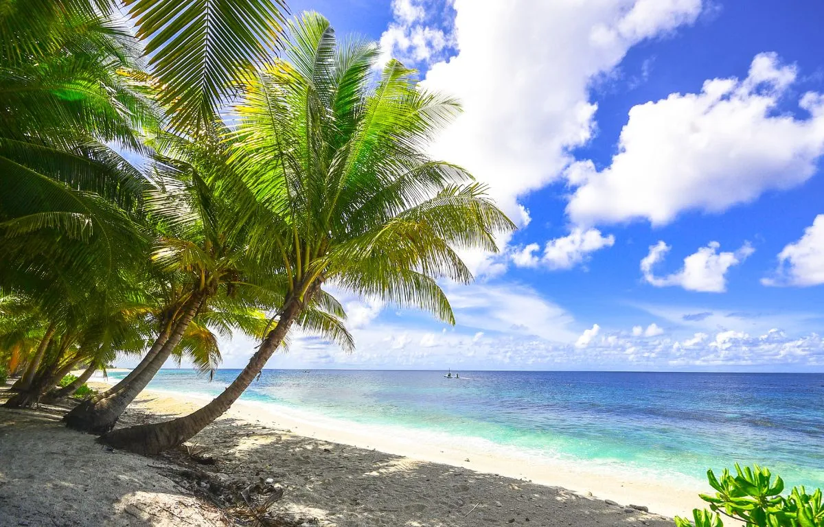 Descubre la Magia de Playas Paraíso