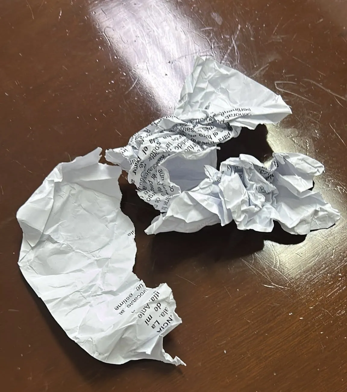 Imagen de la nota