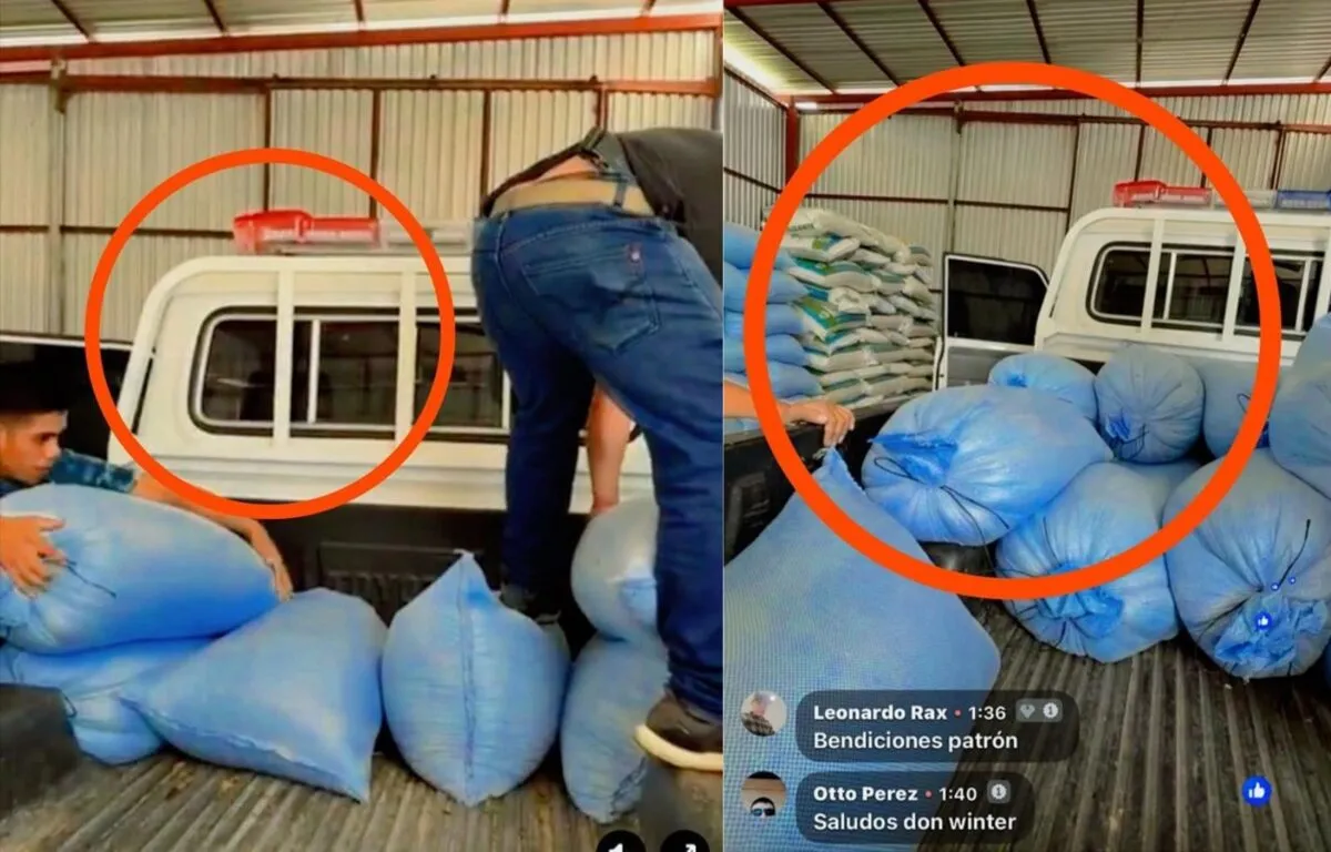 Imagen de la nota
