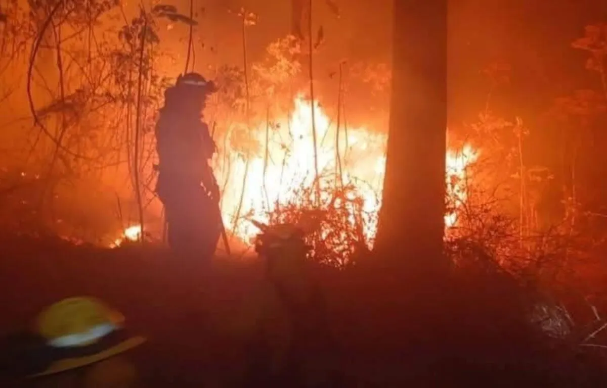 Incendio forestal se reactiva en San Miguel Petapa y amenaza con expandirse