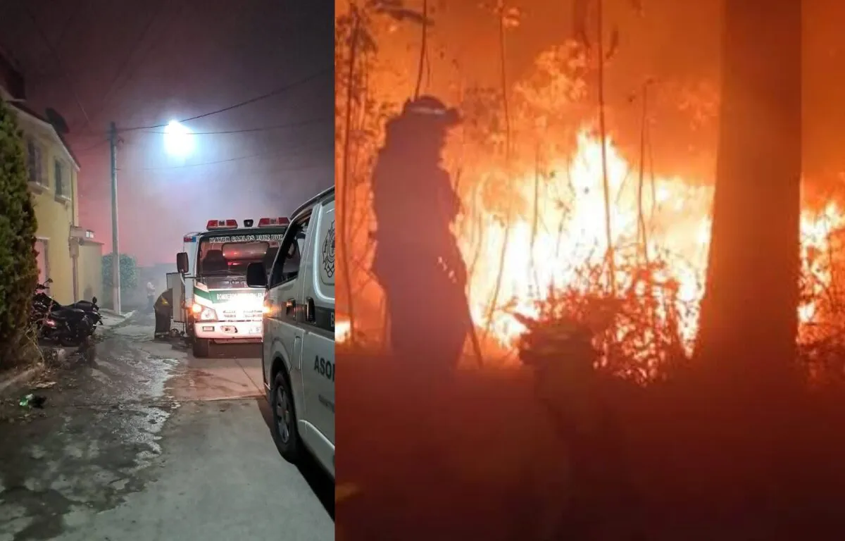 Recomendaciones para prevenir incendios forestales