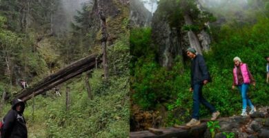Sendero Ecológico La Maceta Ubicación, Beneficios, clima y costos
