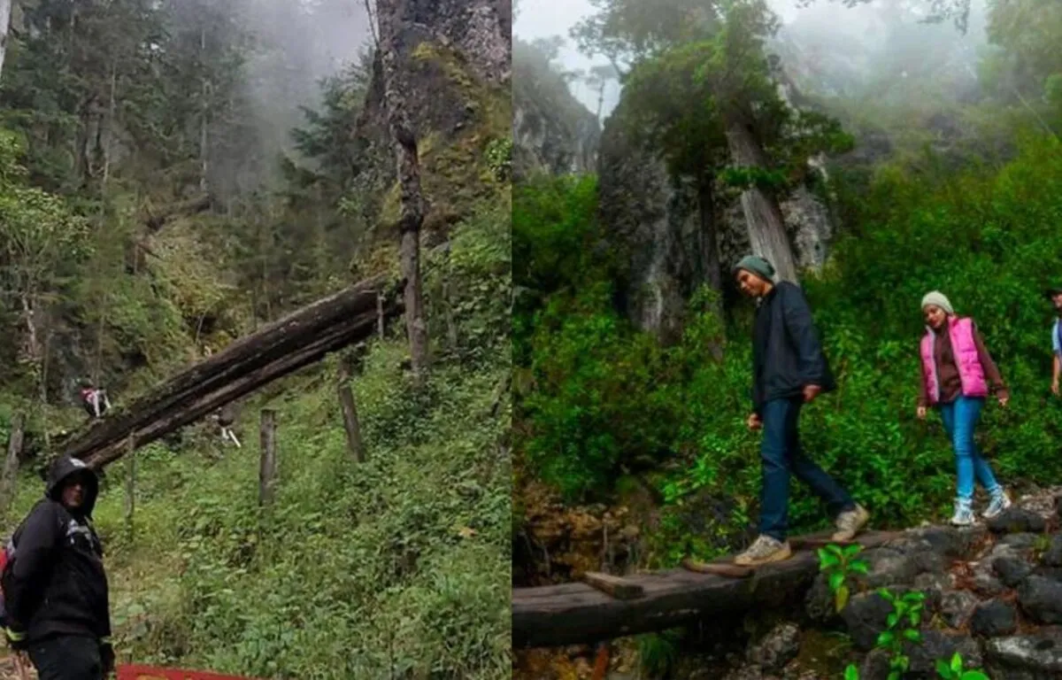 Sendero Ecológico La Maceta: Ubicación, Beneficios, clima y costos