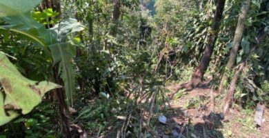 Accidente de Tránsito en Guatemala Deja 16 Heridos Durante el Jueves Santo
