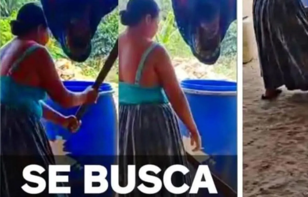 Indignación en Guatemala por Caso de Maltrato Animal Mujer Niega Ser la Agresora del Video Viral
