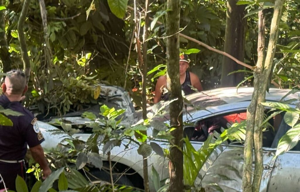 Reacciones y Medidas de Seguridad