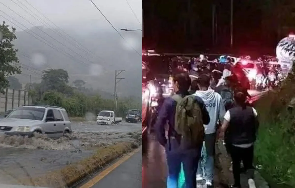 Así fueron los daños en la ruta al Pacífico tras inundación (videos)