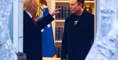 Gobierno Trump despide a Elon Musk por criticar el plan fiscal “Socava nuestro trabajo”