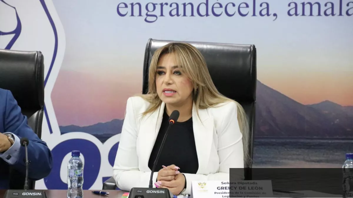 Diputada Greicy De León exige proteger presunción de inocencia en Ley Antilavado