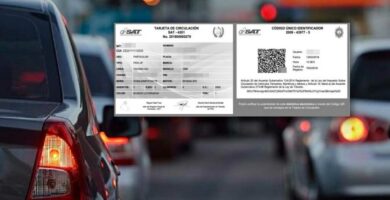 imprimir tarjeta de circulación