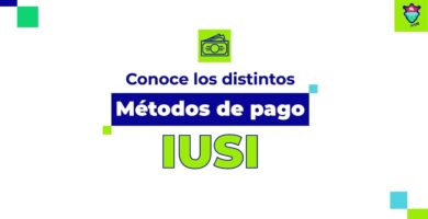 pagar el IUSI en l铆nea