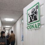 Cómo Hacer una Denuncia Forestal a CONAP en Guatemala: Guía Rápida y Segura