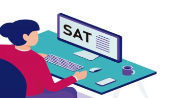 Valor Cero en la SAT en línea