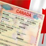 Visa canadiense de visitante: Guía completa y actualizada de requisitos en Guatemala