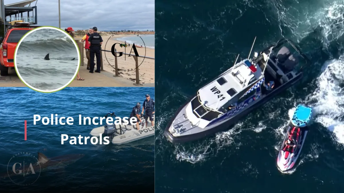 Police Increase Patrols Along Australian Coast After Multiple Shark Sightings