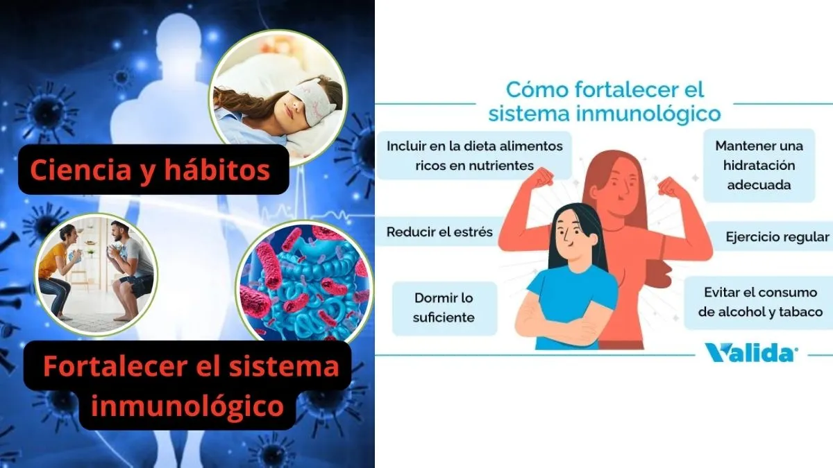 Ciencia y hábitos para optimizar la respuesta inmunitaria