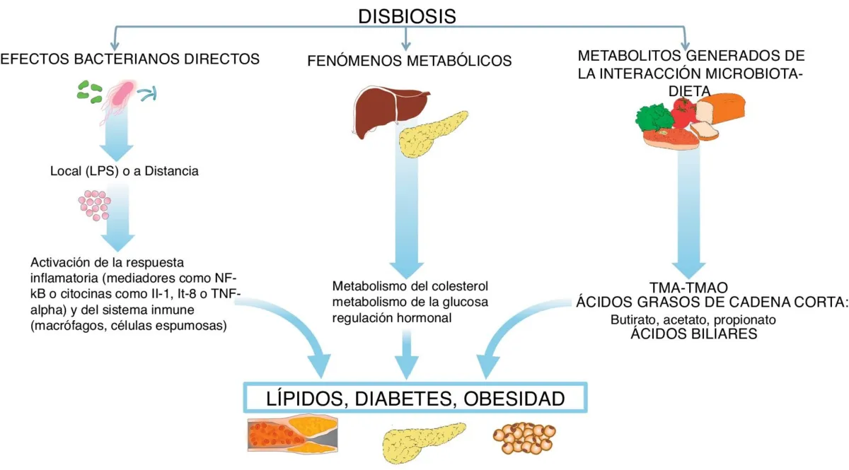 Imagen de la nota