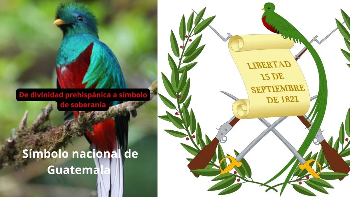 El quetzal: De divinidad prehispánica a símbolo de soberanía
